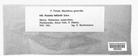 Image Associated With the Occurence